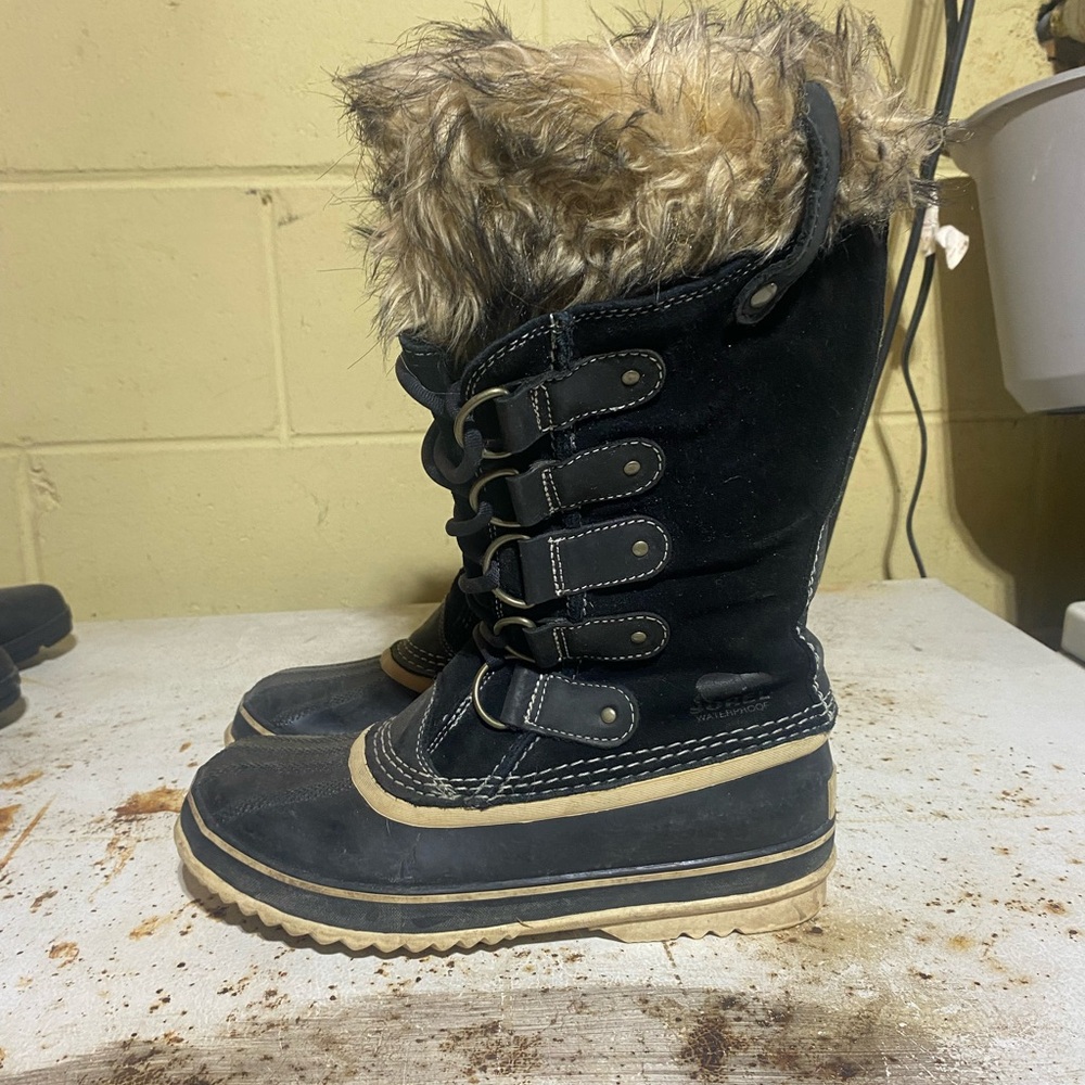 sorrel tall boots